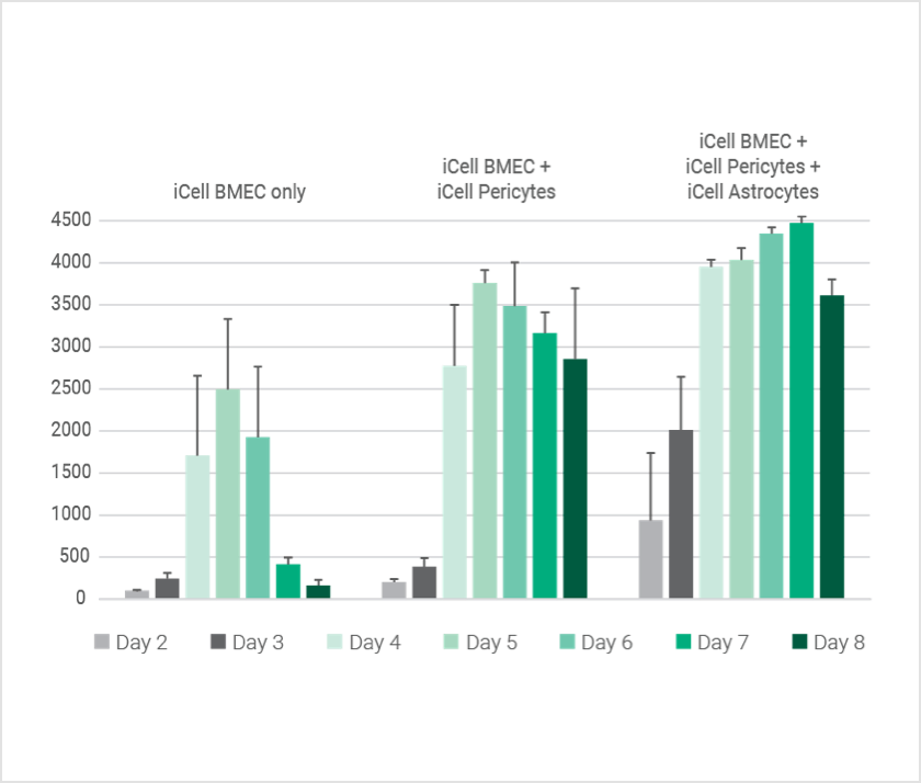 Testing of the functional BBB system is ready as soon as day 2, with values typically beginning at > 500 Ω·cm2 for tri-cultures. Co-culture with relevant cell types increases the TEER values and reproducibility of the data.